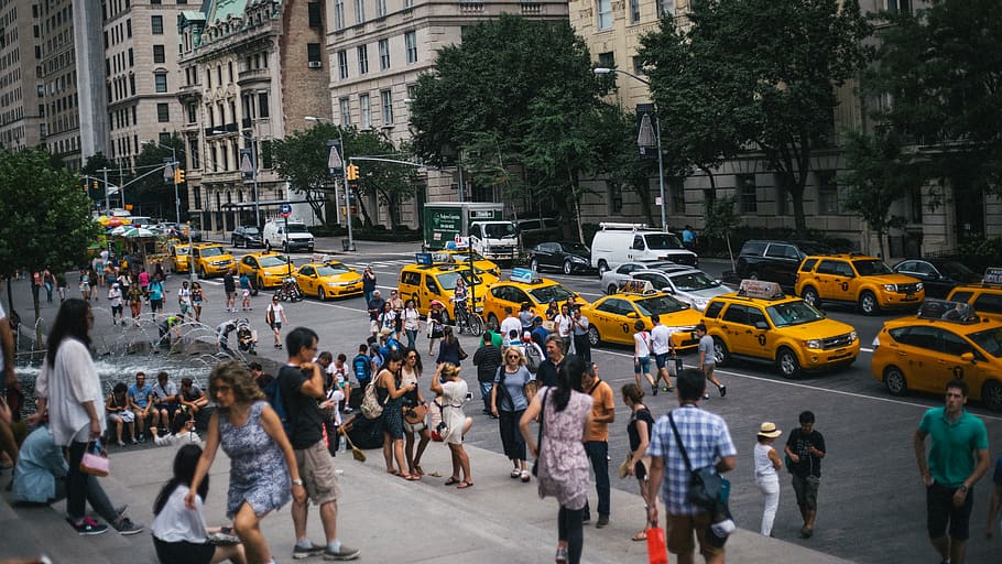 lined yellow taxis, human, person, transportation, automobile HD wallpaper