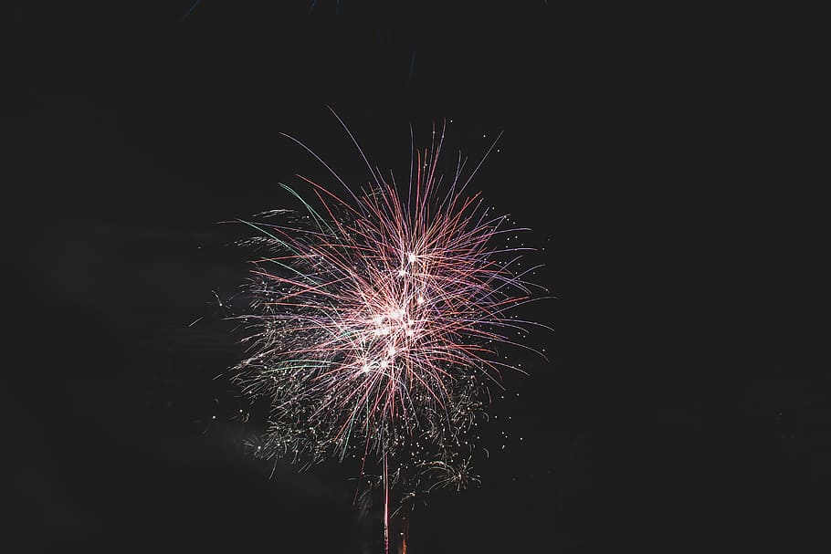 purple fireworks, sky, night, red, black background, nightphotography HD wallpaper
