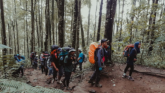person, human, bag, backpack, outdoors, gede pangrango, bogor HD wallpaper