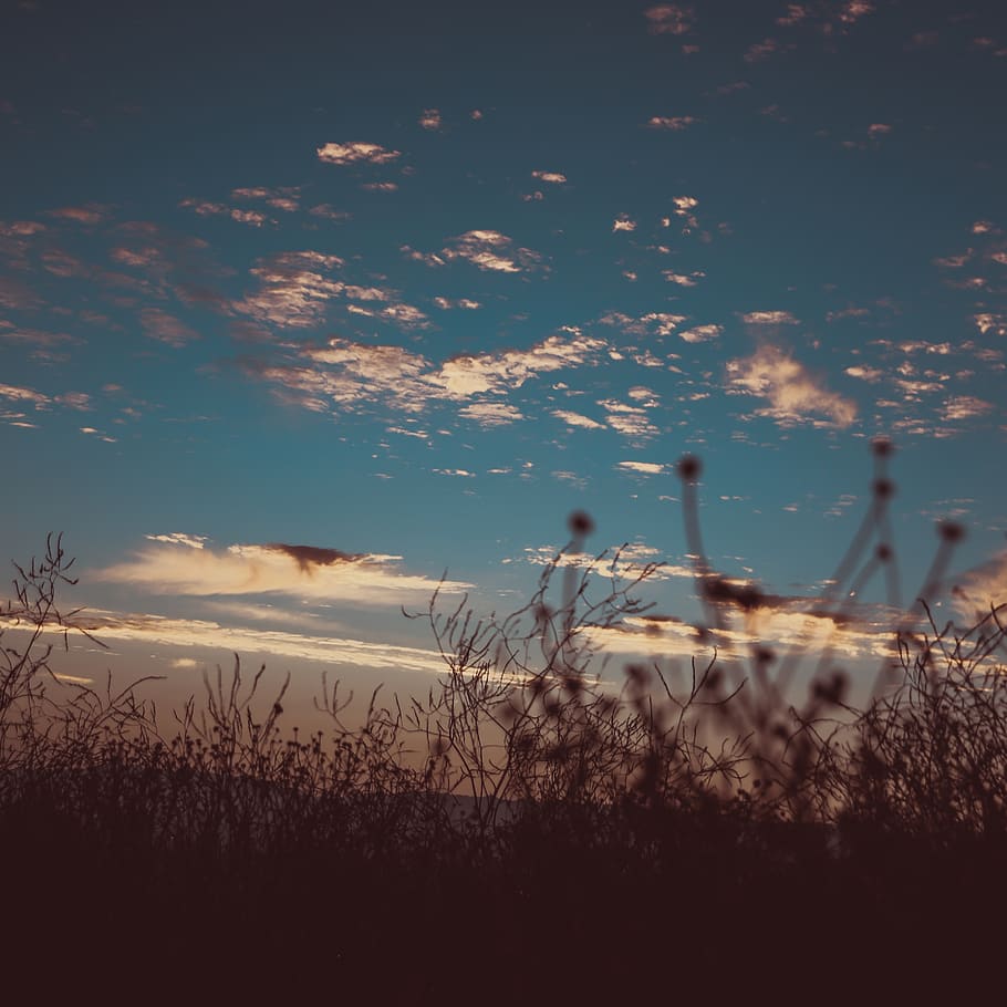 sky, color, cloud - sky, nature, plant, land, beauty in nature HD wallpaper