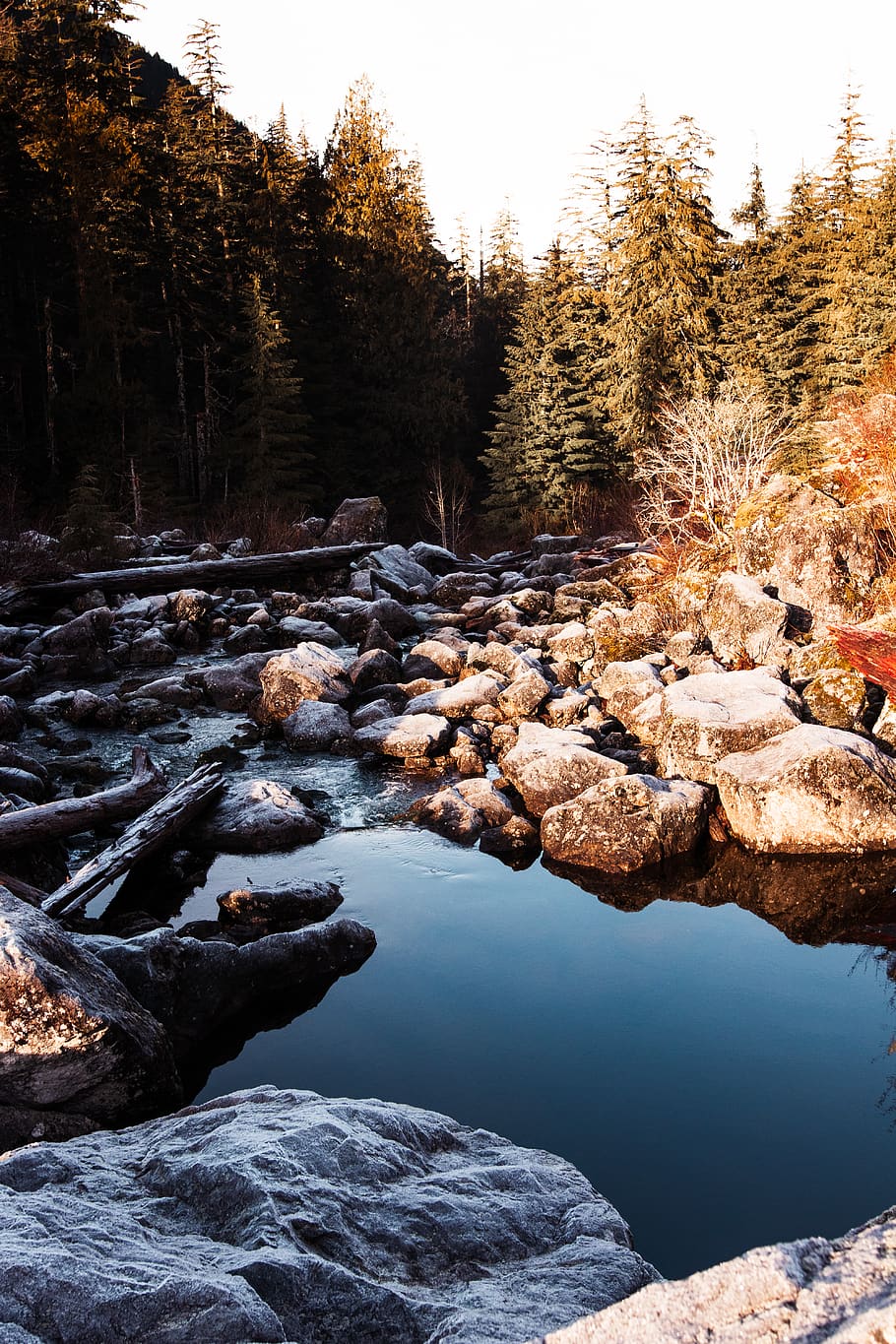 river during daytime, water, tree, rock, solid, rock - object HD wallpaper