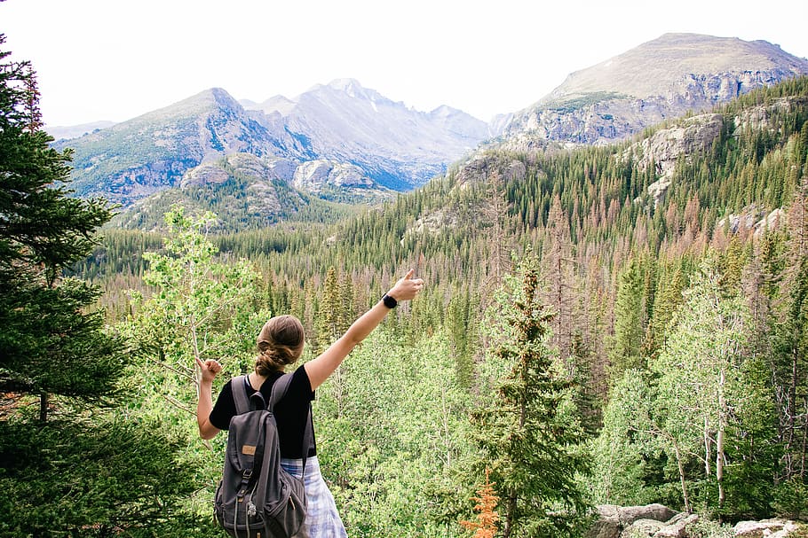 mountain, lake, tree, trees, hike, backpack, explore, forest HD wallpaper
