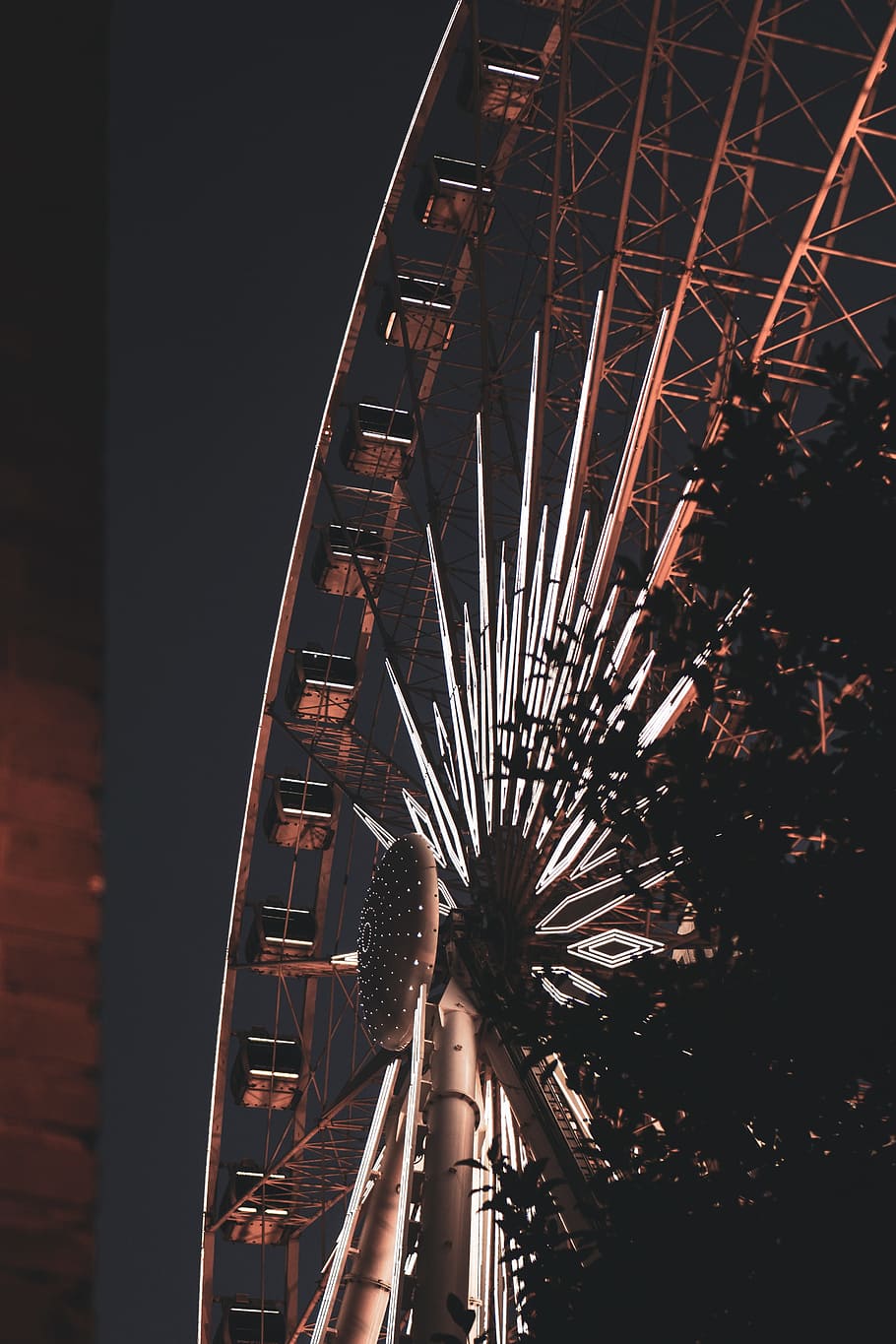 wheel, night, light, glow, tree, silhouette, moody photography HD wallpaper