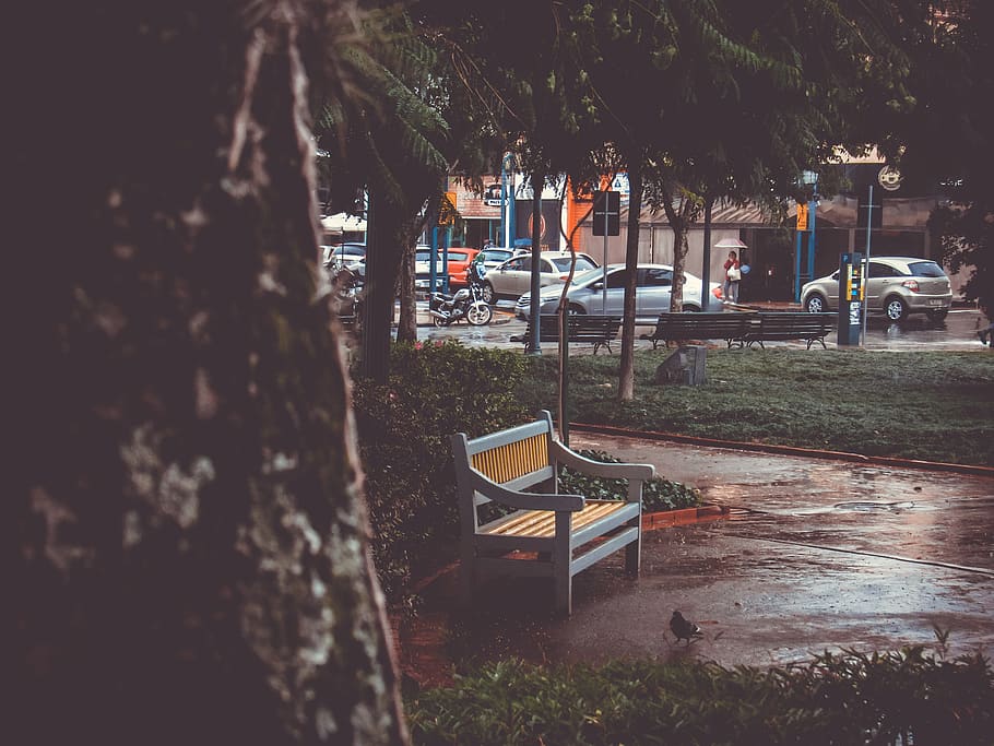 bench on park, tree, plant, nature, day, outdoors, architecture HD wallpaper