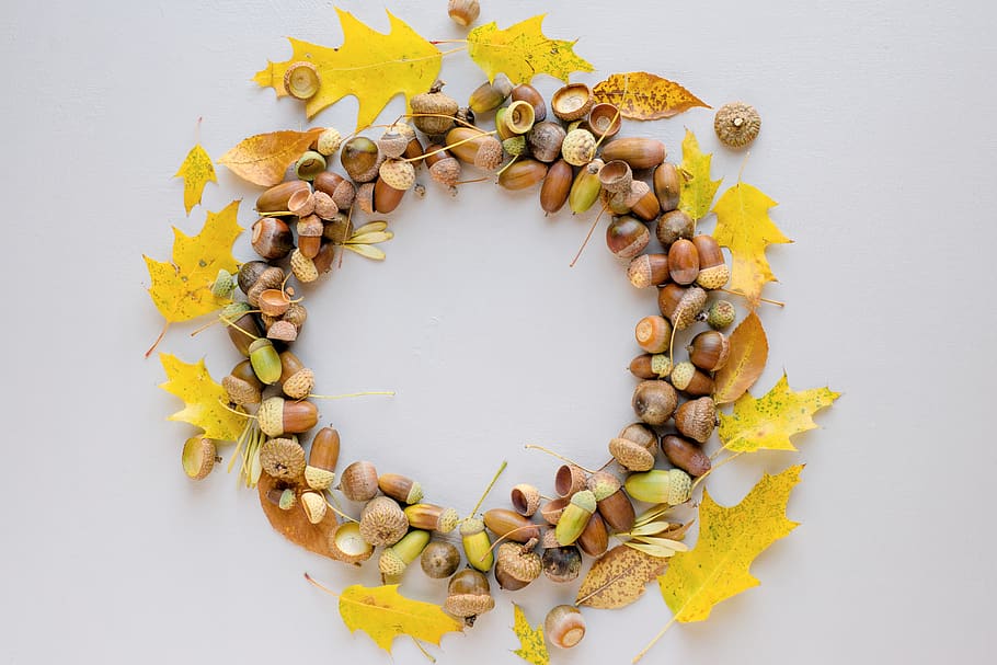 round nut wreath design, white background, food, food and drink HD wallpaper