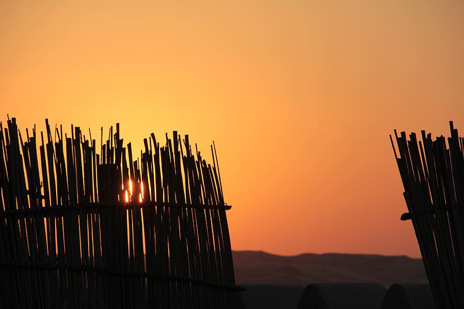 sunset, desert, landscape, sand, orange, evening, orange color HD wallpaper
