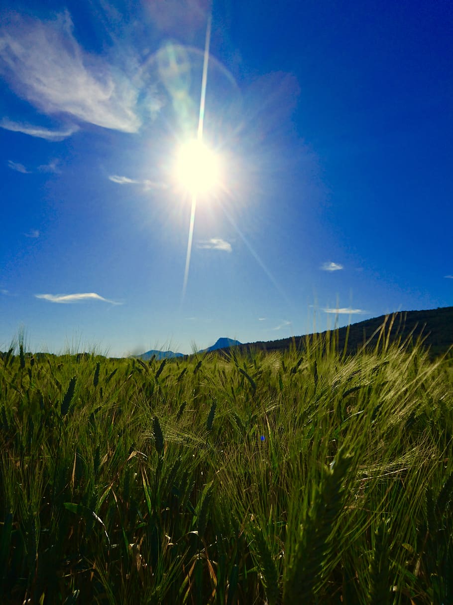 france, la crau, sky, landscape, sun, lens flare, sunlight HD wallpaper