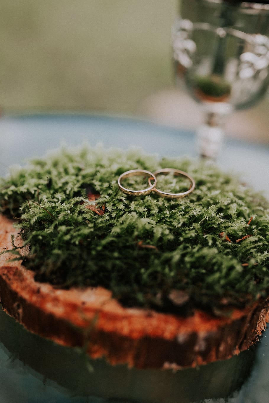 pair of silver-colored rings on green leaves, moss, dill, food, HD wallpaper