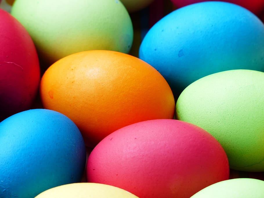 Selective Focus Photography of Assorted-color Eggs, easter, multi colored HD wallpaper
