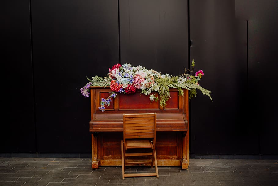 brown spinner piano, plant, flower, blossom, flower bouquet, flower arrangement HD wallpaper
