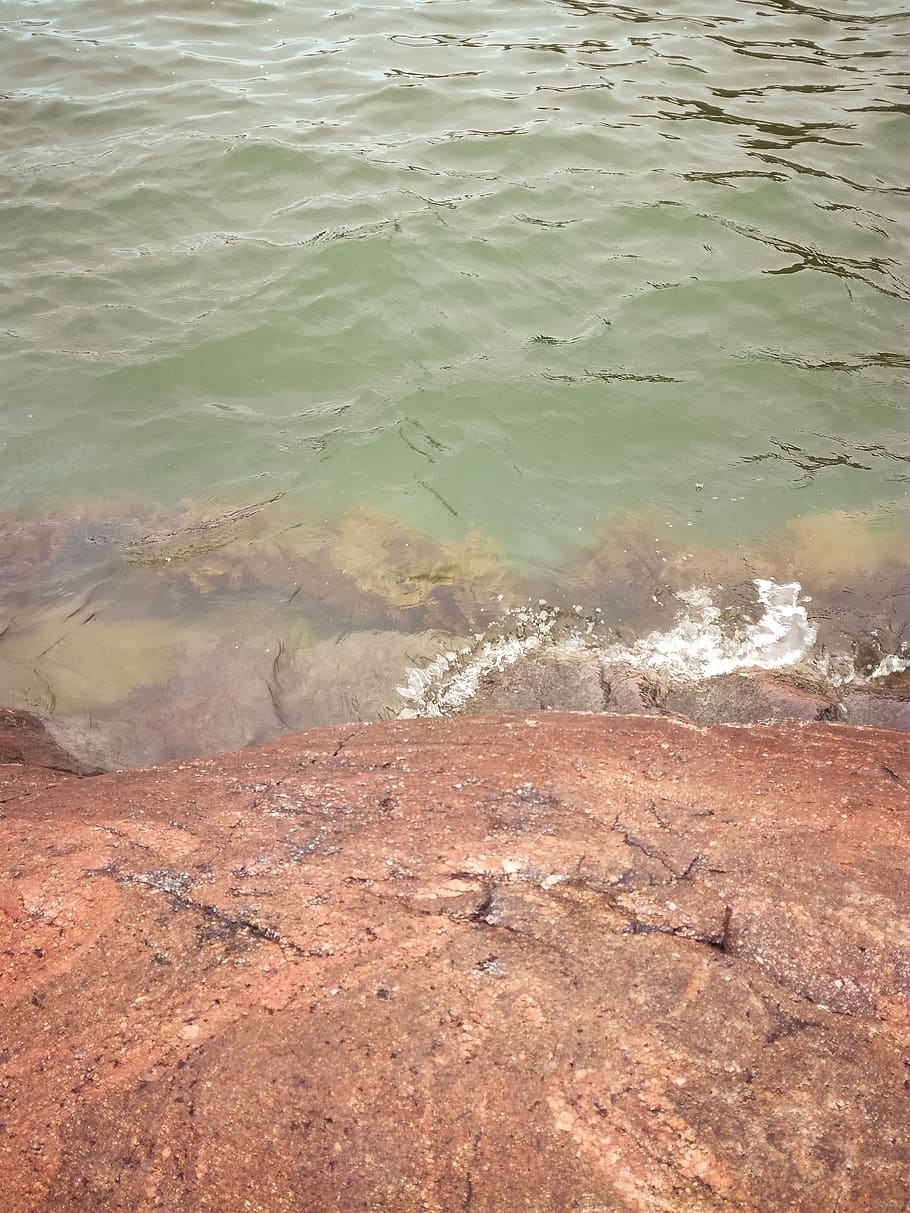 nature, outdoors, plant, algae, sea, finland, colours, natural HD wallpaper