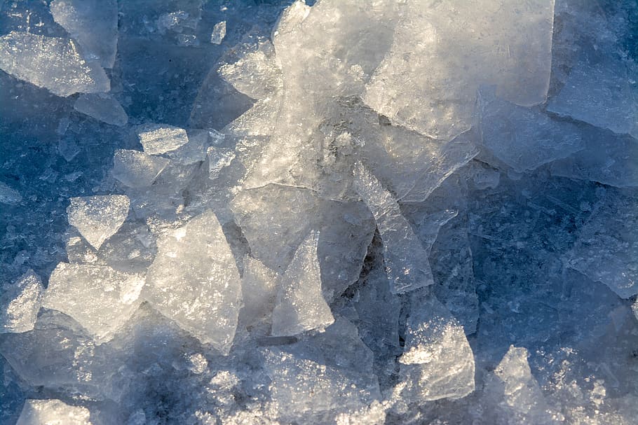 ice, winter, cold, frozen, frost, snow, blue, nature, wintry HD wallpaper