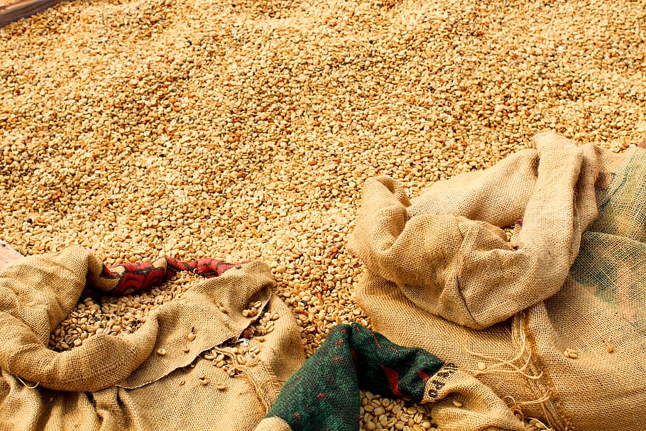 dried corn kernels, land, sand, high angle view, beach, no people HD wallpaper