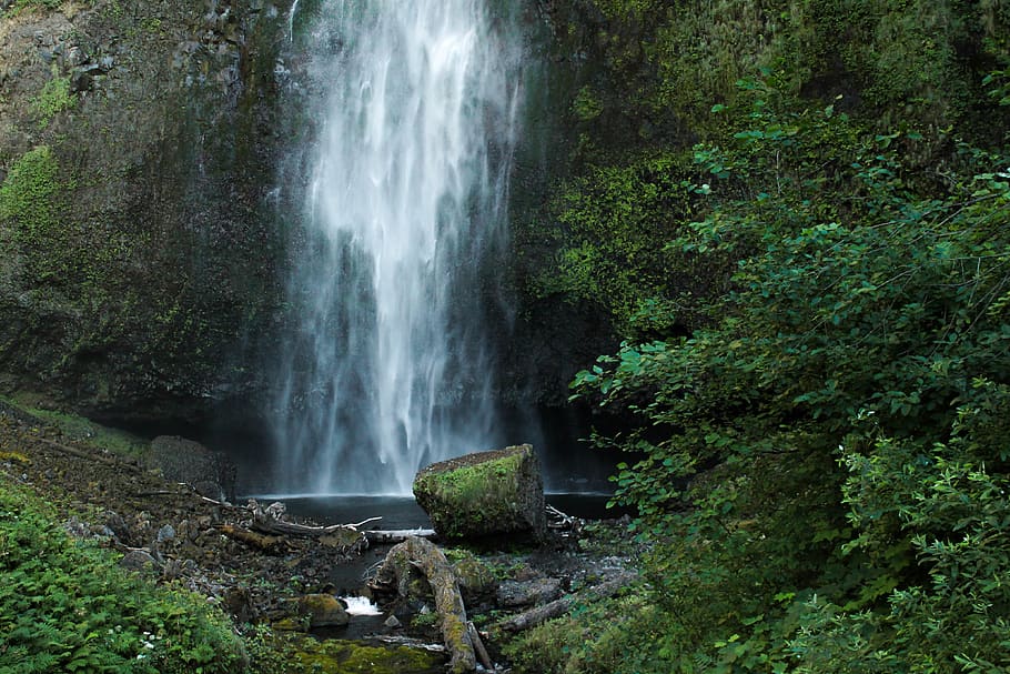 united states, multnomah falls, green, water, forest, waterfall