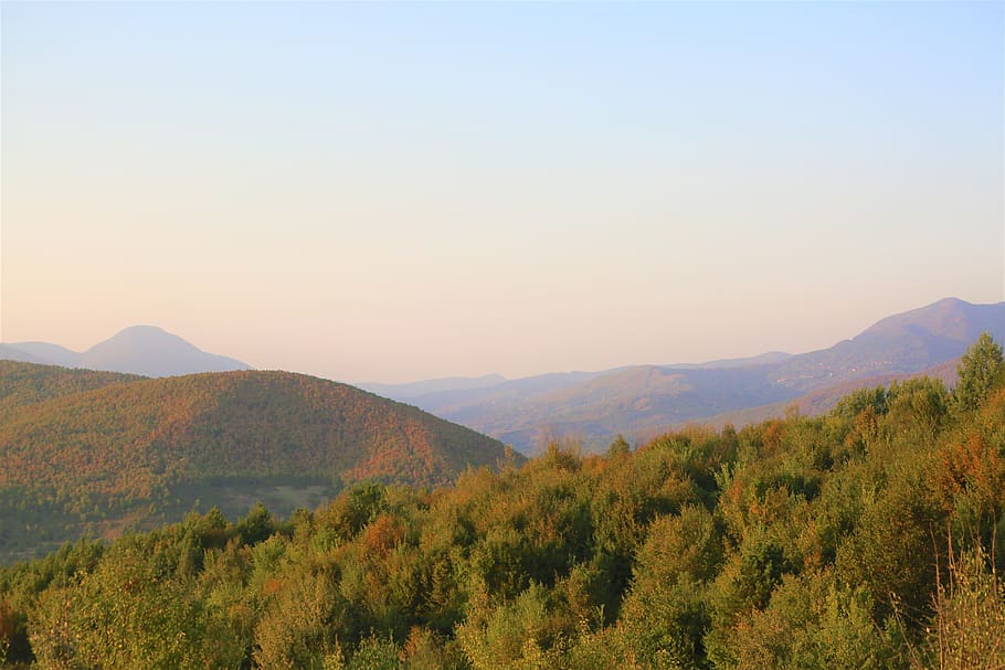 forest, landscape, nature, trees, rural, outdoor, sky, mountain HD wallpaper