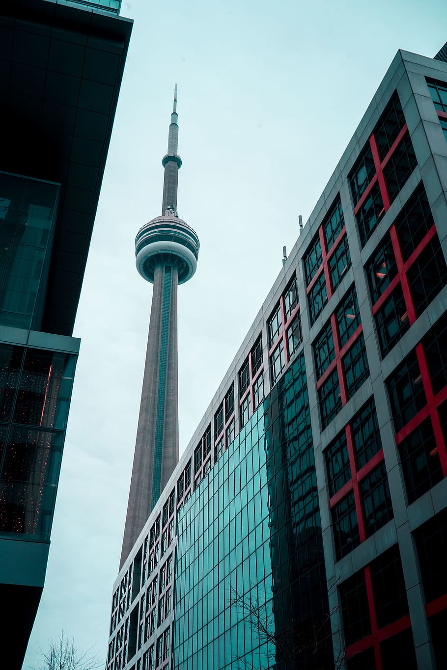 CN tower over the building, architecture, office building, town HD wallpaper