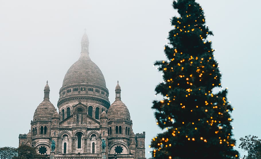 brown concrete temple, tree, plant, ornament, christmas tree HD wallpaper