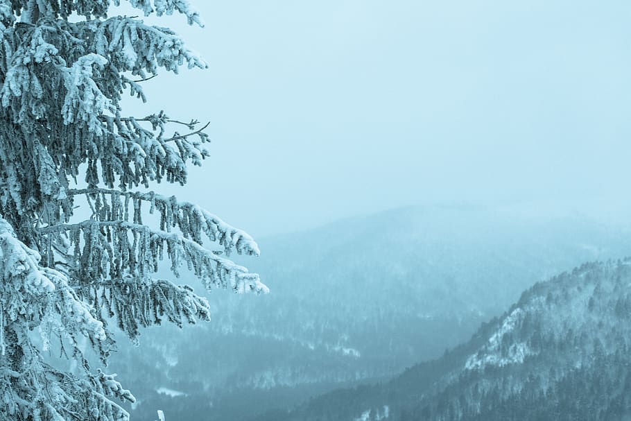 norway, uvdal, snow, tree, mountain, winter, cold temperature HD wallpaper
