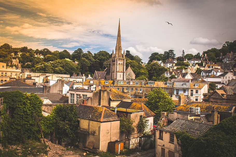 bird, city, building, architecture, sky, church, england, old HD wallpaper