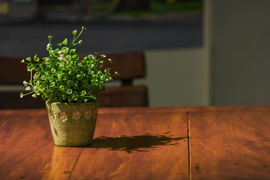 green, table, wood, orange, plant, nature, decoration, interior HD wallpaper