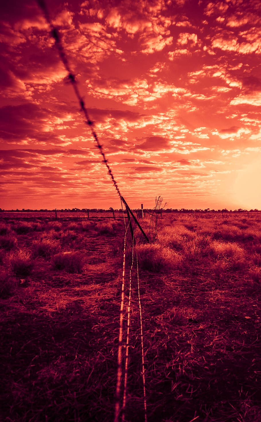 australia, queensland, camp, red, desert, sunset, outback, sky, HD wallpaper
