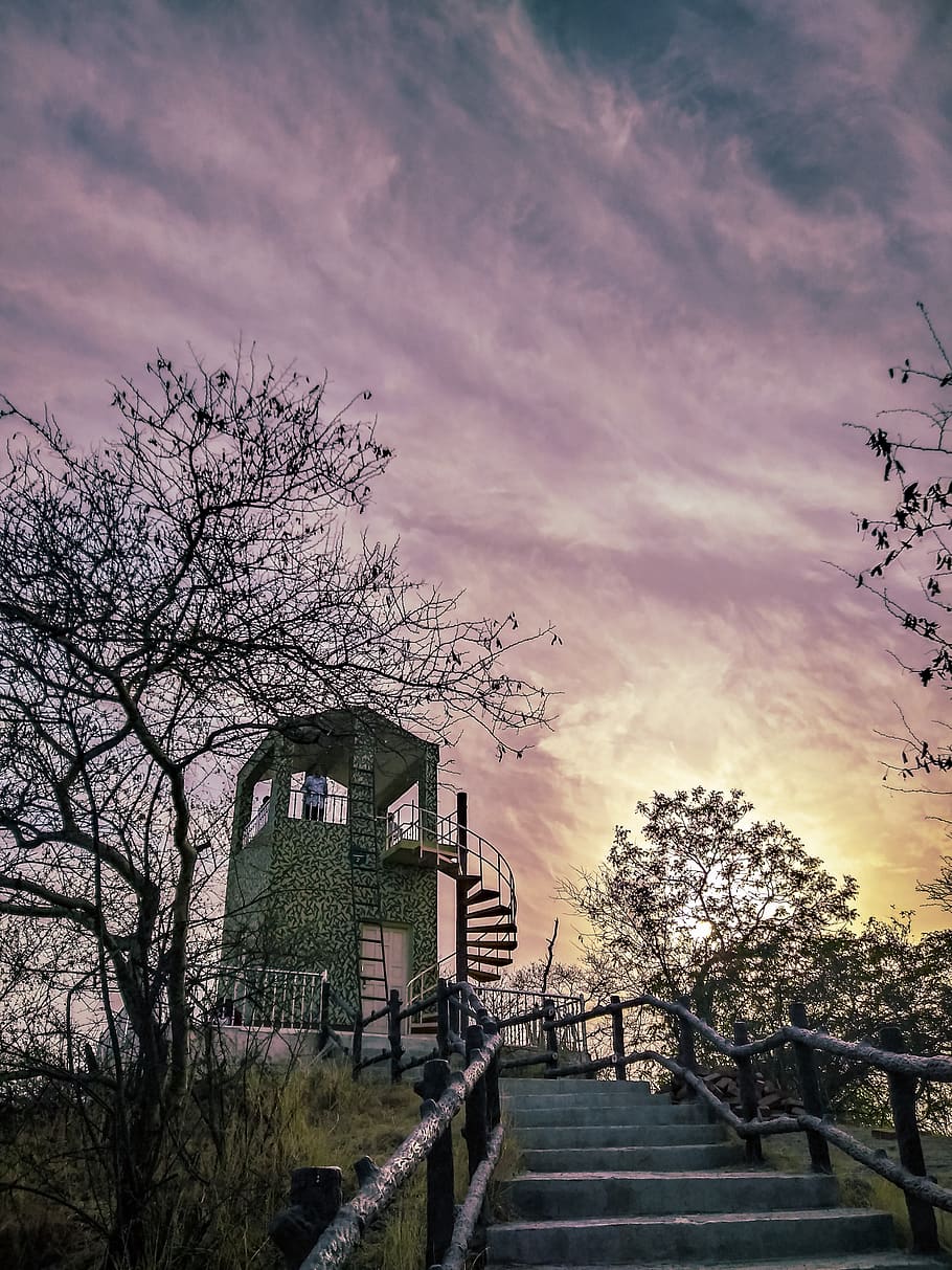 sunset, park, forest, india, tree, building, sky, pink, nature HD wallpaper