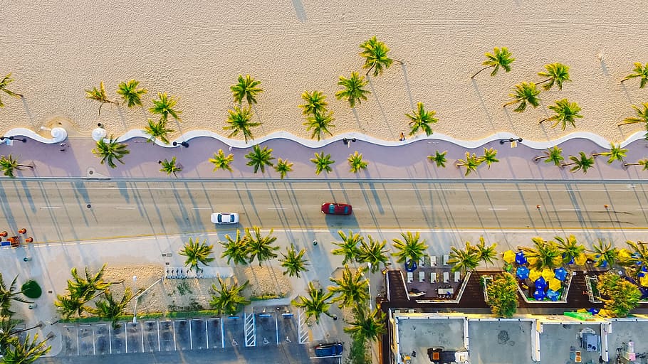 aerial, view, tree, car, vehicle, road, trip, travel, building HD wallpaper