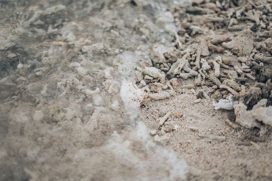 Shore, sand, seashore, selective focus, no people, close-up, land HD wallpaper