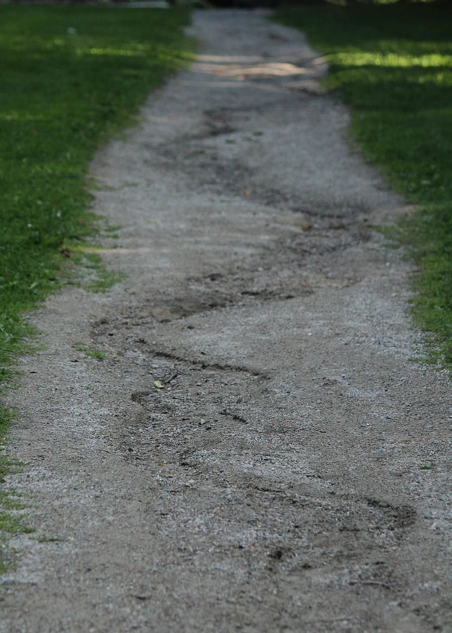 path, riverbed, walking, direction, the way forward, no people HD wallpaper