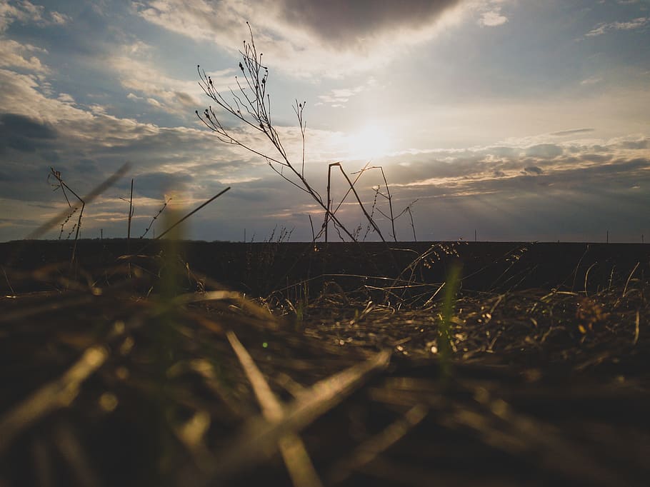 field, nature, sun, sky, light, spring, cloud - sky, land, beauty in nature HD wallpaper