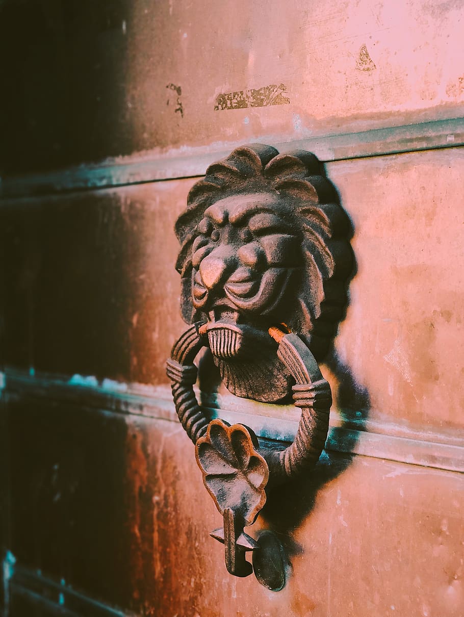 lion, nyc, art and craft, wall - building feature, no people HD wallpaper