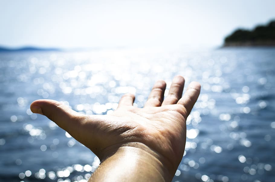 Person Hand Reaching Body of Water, adult, background, beach