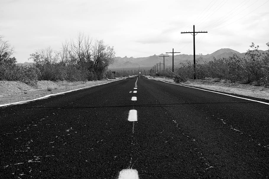 the way forward, direction, road, plant, sky, transportation HD wallpaper