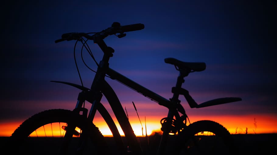bicycle, sunset, hardtail, field, nature, evening, sport, dark HD wallpaper