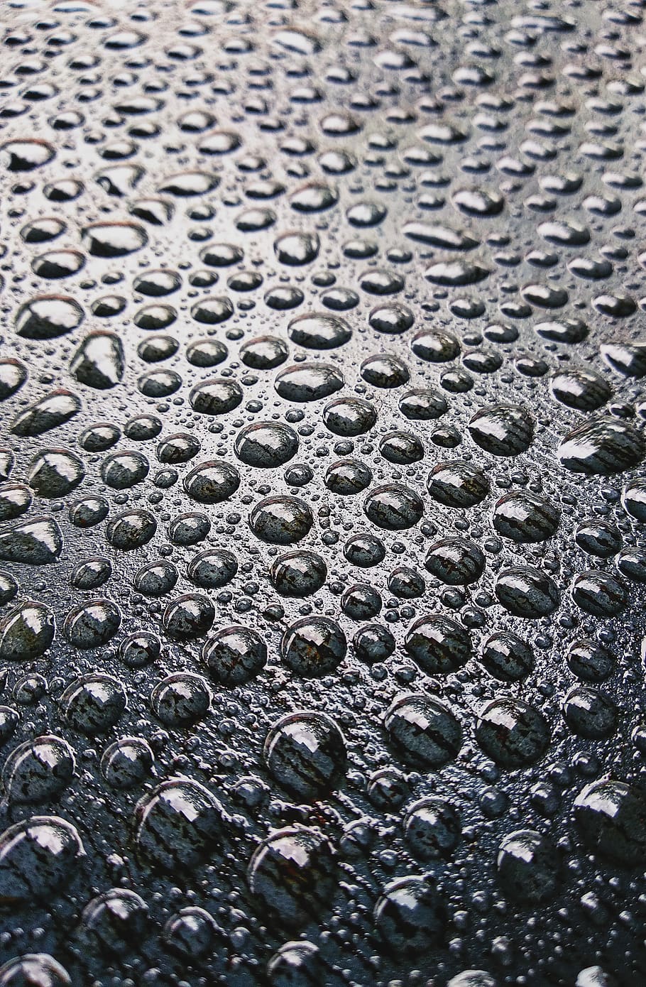 Water Dewdrops, aqua, black and white, droplets, drops of water HD wallpaper