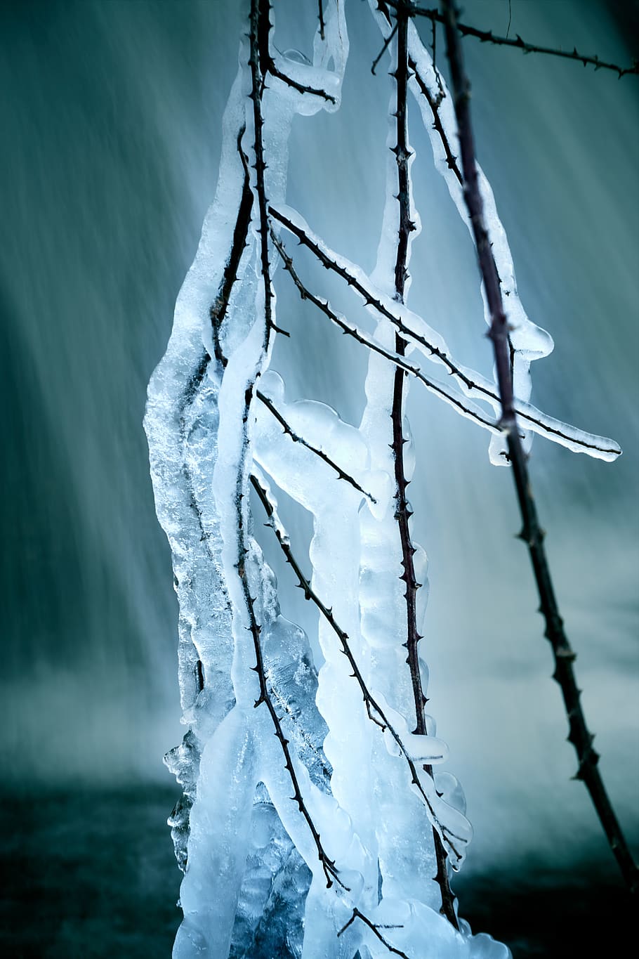 ice, frost, winter, cold, nature, zing, blue, cold temperature HD wallpaper