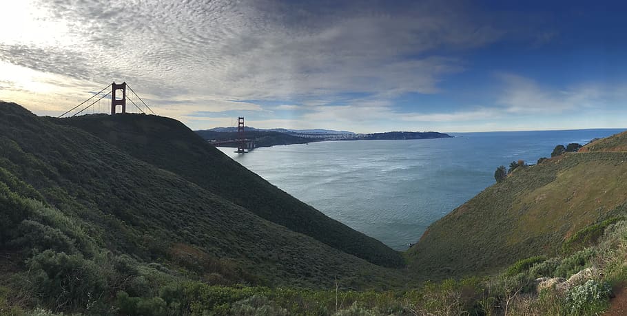 Photo of the Golden Gate Bridge, bay, Bay Bridge, beach, bushes HD wallpaper