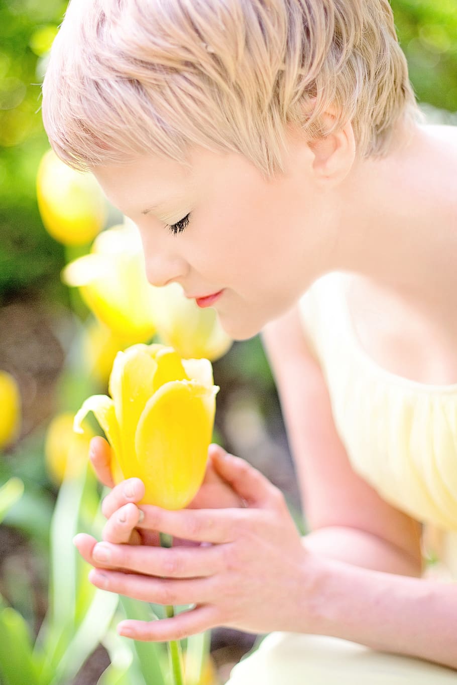 Woman Wearing Yellow Dress Holding Yellow Tulip Flower, bloom HD wallpaper