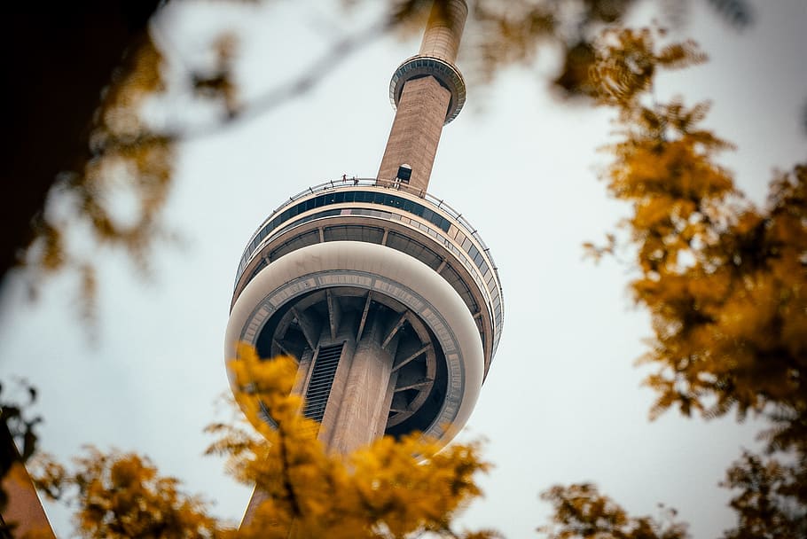 shallow focus photography of gray and white tower, building, canada HD wallpaper