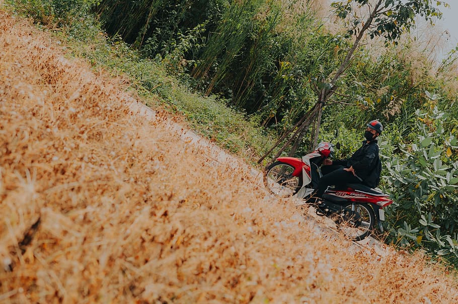 Man on White and Red Underbone Motorcycle, daylight, grass, helmet HD wallpaper