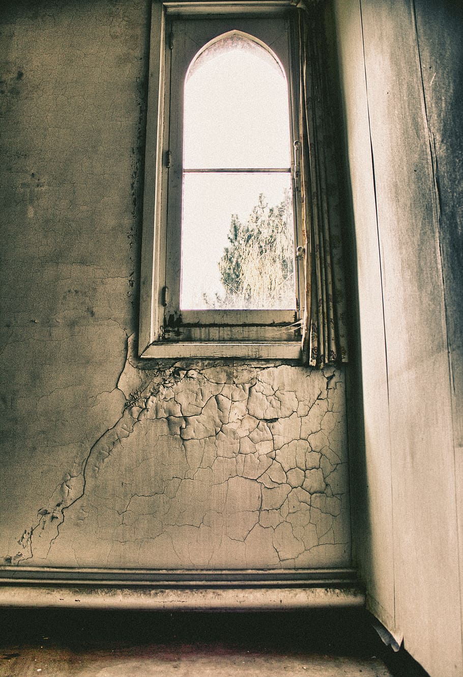 abandoned, belgium, broken, window, tree, dark, vintage, old HD wallpaper