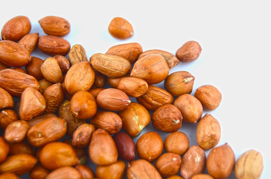 peanut, seed, grain, eat, plant, food, field, cornfield, natural HD wallpaper