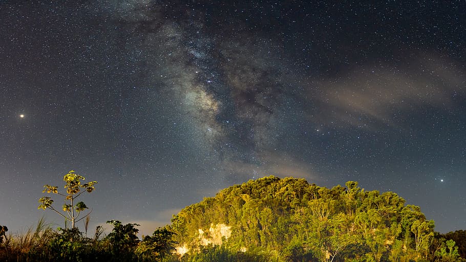 green-leafed trees under clear sky during nighttime, space, galaxy HD wallpaper
