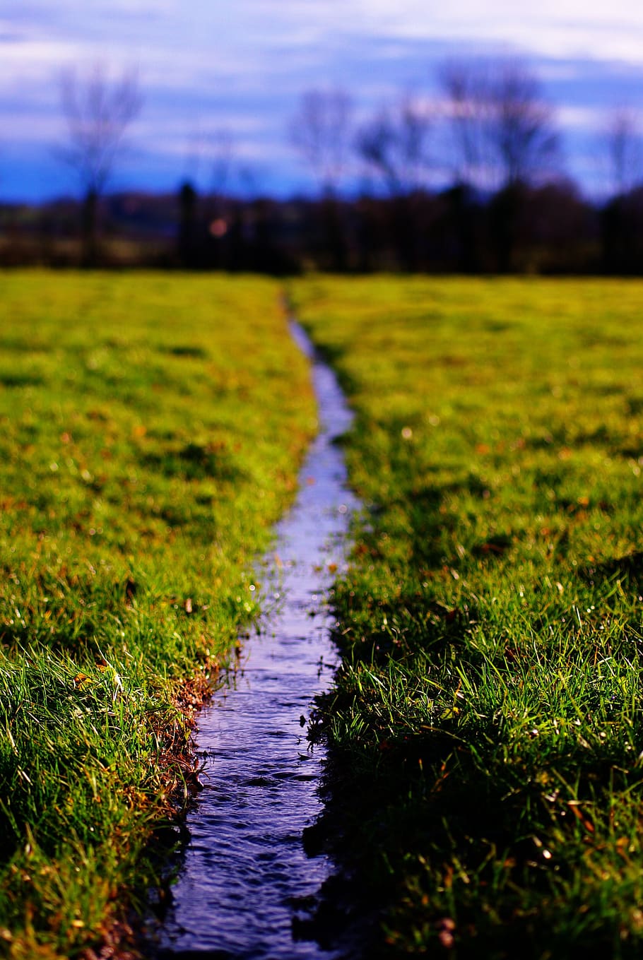 water, meadows, pre, nature, grass, green, spring, wet, garden HD wallpaper