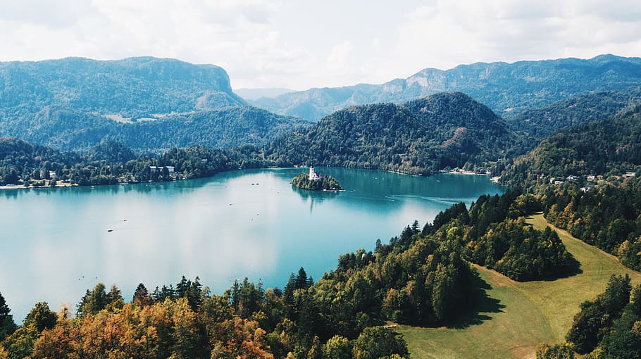 slovenia, bled, grajska cesta 53, forest, lake, lake bled, europe HD wallpaper