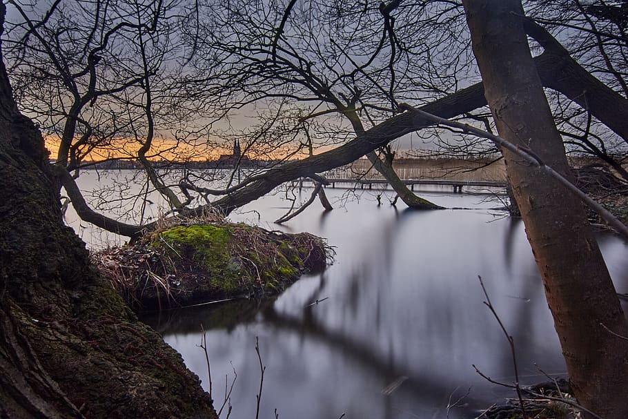 lake, trees, water, calm, church, neuruppin, germany, bare tree HD wallpaper