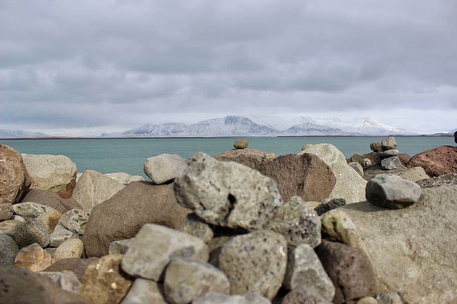 rubble, rock, sheep, animal, mammal, iceland, snowy mountain HD wallpaper