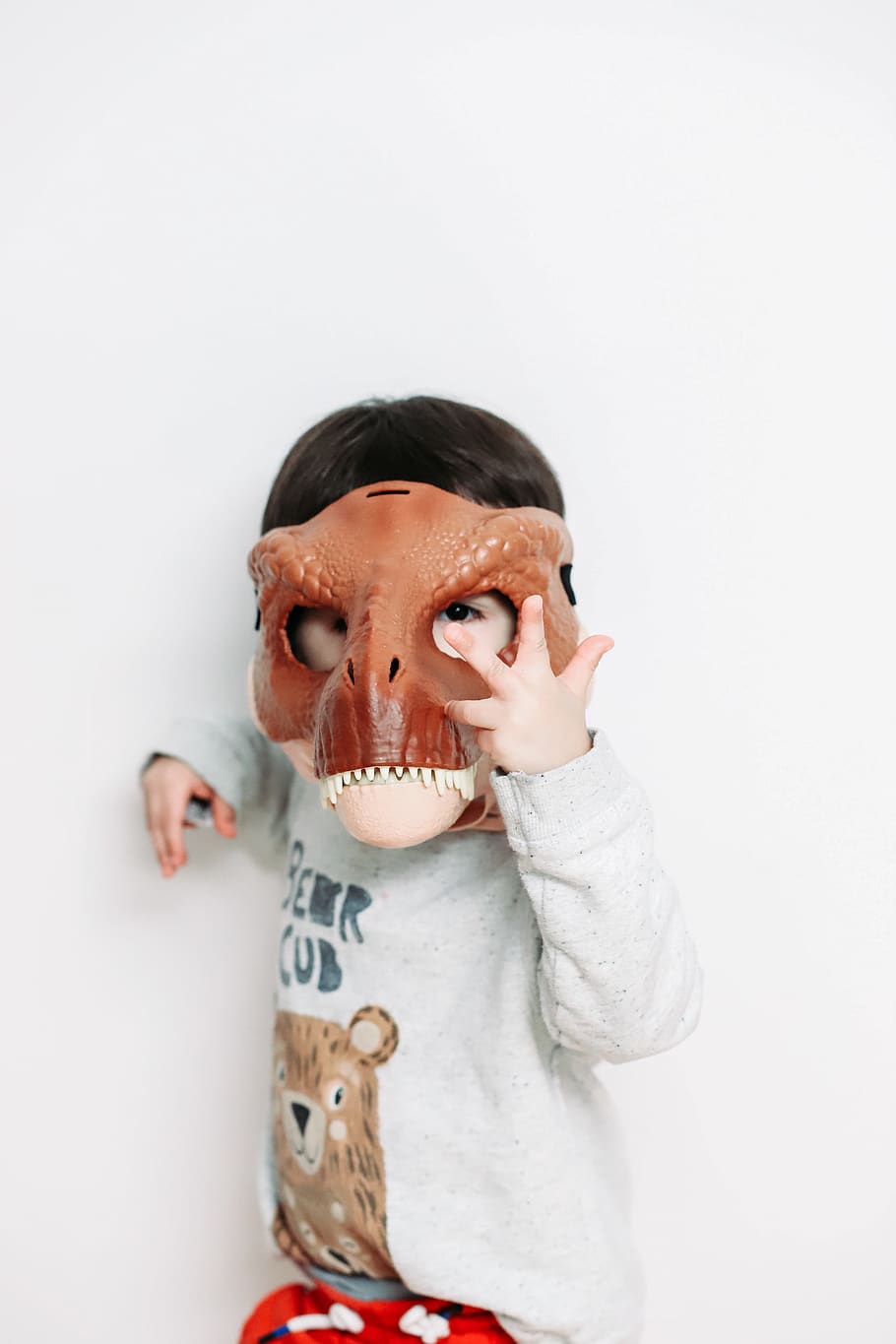 boy holding dinosaur mask, childhood, portrait, studio shot, indoors HD wallpaper