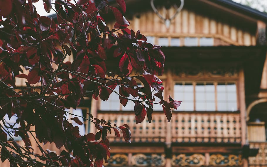 austria, hallstatt, fall, seasons, wood cabins, cottages, architectures HD wallpaper