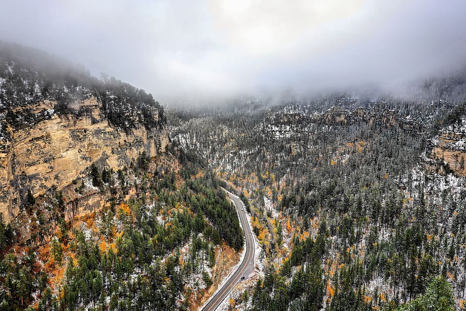 Grey Road Near Green-leafed Trees, bird's eye view, clouds, daylight HD wallpaper